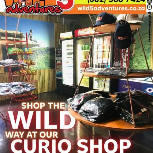 Wild 5 Curio Shop