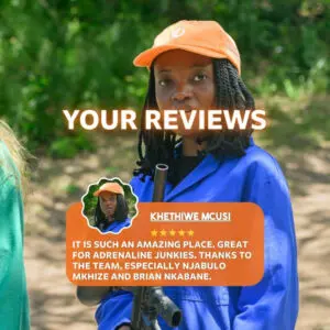 Your reviews
