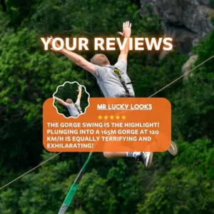 Your reviews