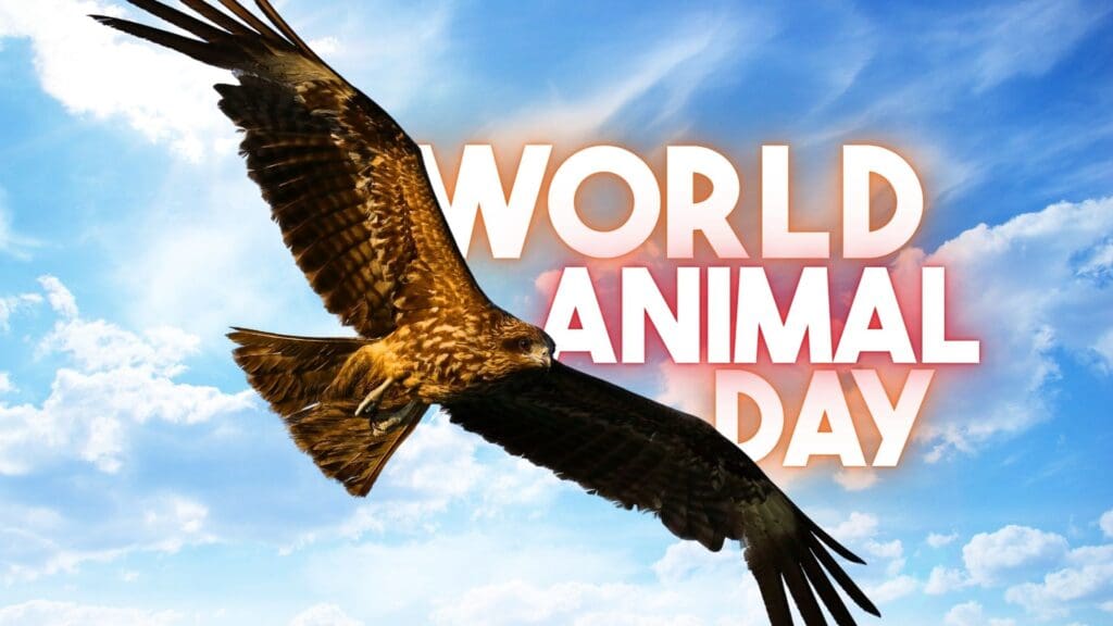 World Animal Day