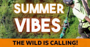 A thrill-seeker leaping off the platform on the Wild Swing over Oribi Gorge with bold text overlays reading SUMMER VIBES and THE WILD IS CALLING representing a summer adventure at Wild 5 Adventures.