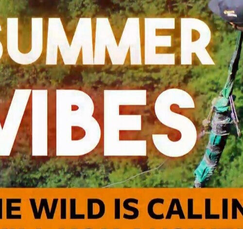 A thrill-seeker leaping off the platform on the Wild Swing over Oribi Gorge with bold text overlays reading SUMMER VIBES and THE WILD IS CALLING representing a summer adventure at Wild 5 Adventures.