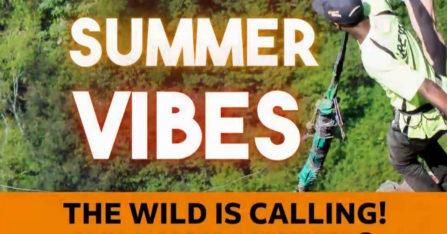 A thrill-seeker leaping off the platform on the Wild Swing over Oribi Gorge with bold text overlays reading SUMMER VIBES and THE WILD IS CALLING representing a summer adventure at Wild 5 Adventures.